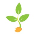 Planting seed sprout in ground. Symbol grow sapling. Icon, flat isolated on white background. Vector