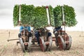 Planting seedlings machine Royalty Free Stock Photo