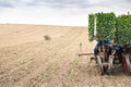 Planting seedlings machine Royalty Free Stock Photo
