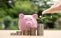 Planting seedlings on piles of coins and piggy banks, including hand watering.