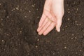 Planting seeds Royalty Free Stock Photo