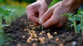 Planting Seeds: Hands in the Dirt