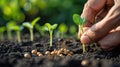 Planting Seeds: Hands in the Dirt