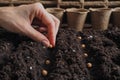 Background with peat pots and the ground. Spring planting work. Royalty Free Stock Photo