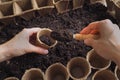 Background with peat pots and the ground. Spring planting work. Royalty Free Stock Photo