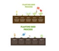 Planting Seeds Steps and Process Infographic Design Vector Set Royalty Free Stock Photo