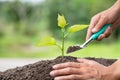 Planting a tree. Close-up hand of the men planting  the seedlings into the ground, The idea of planting trees to reduce global Royalty Free Stock Photo