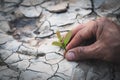 Planting a tree. Close-up hand of the men planting  the seedlings into the ground, The idea of planting trees to reduce global Royalty Free Stock Photo