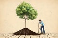 Planting tree in drought crisis. Global warming, care of the environment concept background made with Generative AI Royalty Free Stock Photo