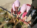 Planting a tree at a girls school in Iran on the day of planting