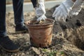 Planting a tree in the ground. The woman takes the plant out of the pot. Royalty Free Stock Photo