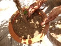 Planting tree at home during quarantine covid-19 , human hand, soil