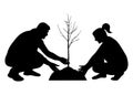 Planting tree, landscaping. Man and woman plant tree seedling, silhouette. Vector illustration