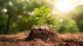 Planting a tree on a pile of money, including the hand of a woman holding a coin to a tree on the coin, money saving ideas and