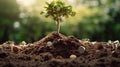 Planting a tree on a pile of money, including the hand of a woman holding a coin to a tree on the coin, money saving ideas and