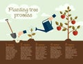 Planting tree process, business concept