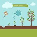 Planting tree process infographic. Apple tree growth stages. Ste