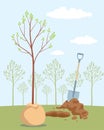 Planting tree