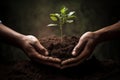 Planting a tree into a soil