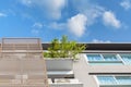 Planting trees on the balcony of the city metro condominium apartment Royalty Free Stock Photo