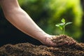 Planting trees growth passion fruit and hand Watering in nature Light and background Royalty Free Stock Photo