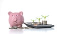 Planting trees on money pile and calculator including piggy bank piggy bank on white background Royalty Free Stock Photo