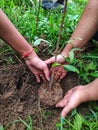 planting trees plants saplings preserving nature with bare hands kids adults young gardening save trees