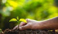 Planting trees Tree Care save world,The hands are protecting the seedlings in nature and the light of the evening Royalty Free Stock Photo