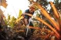 Before planting vegetables, gardeners use a hoe to clear weeds from the soil Royalty Free Stock Photo