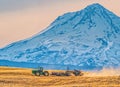 Planting Winter Wheat Under the Shadow of Mt Hood.  Oregon Royalty Free Stock Photo