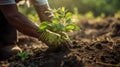 Planting young samplings with gloved hands on the soil, ecosystem preservation, and reforestation concept