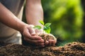 Planting trees growth passion fruit and hand Watering in nature Light and background Royalty Free Stock Photo