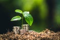 Planting trees growth passion fruit and hand Watering in nature Light and background Royalty Free Stock Photo