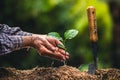 Plant a tree Passion fruit Strong seedlings,Planting young tree by old hand on soil as care and save wold concept