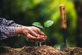 Plant a tree Passion fruit Strong seedlings,Planting young tree by old hand on soil as care and save wold concept