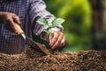 Plant a tree Passion fruit Strong seedlings,Planting young tree by old hand on soil as care and save wold concept