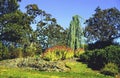 Plantings in Beacon Hill Park  12071 Royalty Free Stock Photo