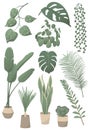 Set of vector illustrations of home plants: Monstera leaf, Pilea peperomioides, String of Pearls, Pothos, ZZ plant, parlor palm, s Royalty Free Stock Photo