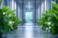 Plants Adorn Modern Office Interior with Glass Doors and Fresh Greenery Royalty Free Stock Photo