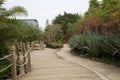 Plants and alley arranged in the park Royalty Free Stock Photo