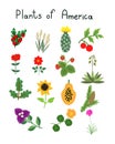 Plants of America