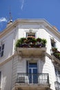 Plants on balcony