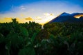 Plants with beautiful sunset and volcano with blue sky and red clouds