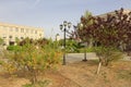 Plants of beijing chinese language and culture college, adobe rgb