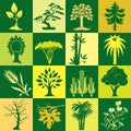 Plants bg
