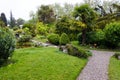 Plants in a Botanical Garden in Geneva Royalty Free Stock Photo