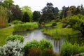 Plants in a Botanical Garden in Geneva Royalty Free Stock Photo