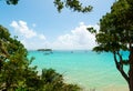 Plants and clear water in La Datcha beach Royalty Free Stock Photo