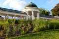 Plants and the Colonnade