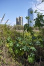 Plants of the Costanera Sur Ecological Reserve and buildings of Puerto Madero Royalty Free Stock Photo